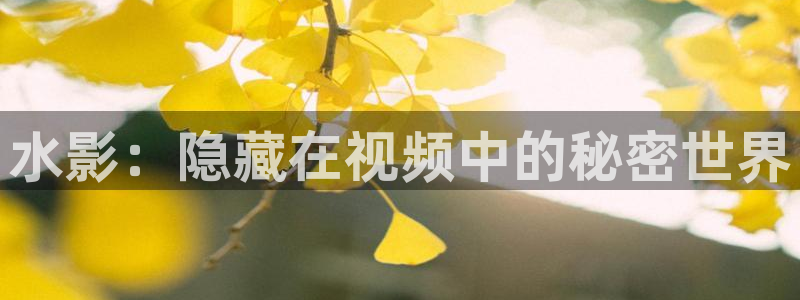 午夜在线影院观看视频