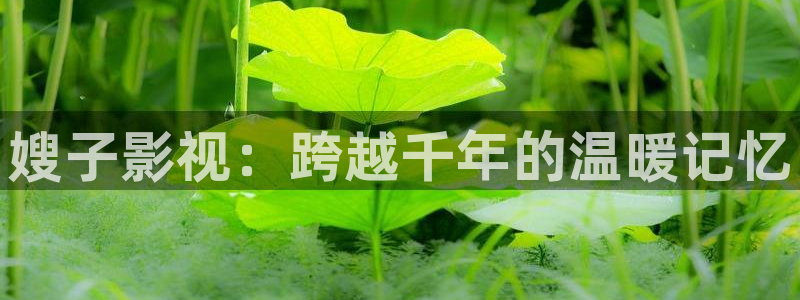 午夜不卡片在线视频